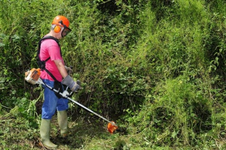 D&eacute;broussailler un terrain envahi &agrave; Blain avant d'am&eacute;nager vos espaces verts
